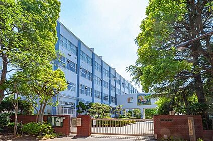 江戸川区立松江第一中学校 1100m(徒歩14分)