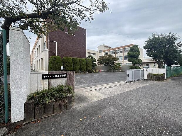 小牧市立小牧原小学校まで800m