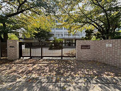 名古屋市立廿軒家小学校 1500ｍ(徒歩19分)