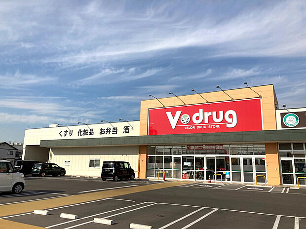 V・drug 半田乙川店（約1,100m）