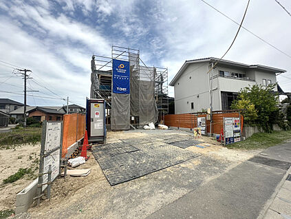販売現地