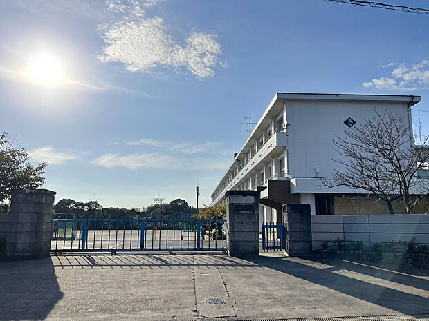青山中学校(約500m)
