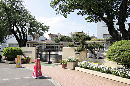 常磐大学幼稚園 956m