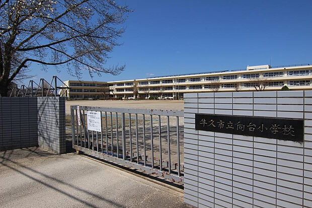 向台小学校（約1,600m）