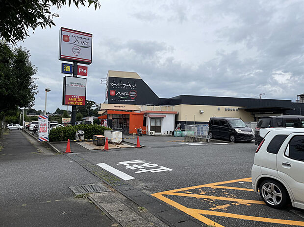 スーパーマーケットハリガエ（約774m）