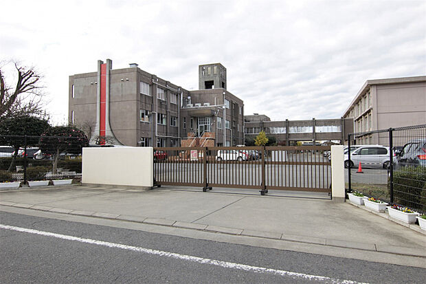 緑岡小学校（約681m）