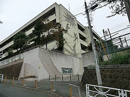 横浜市立東小学校 216m
