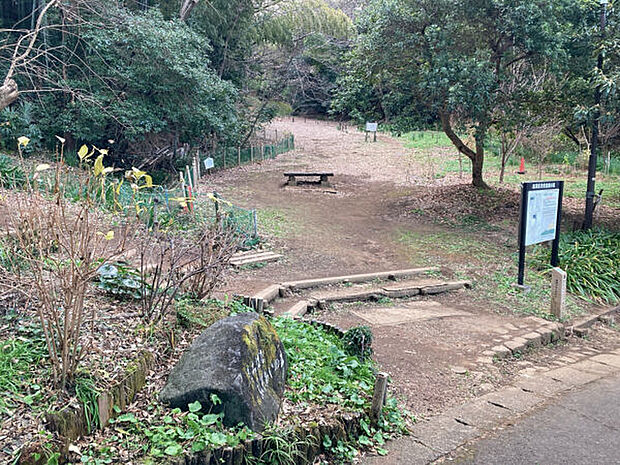 たちばなふれあいの森(約126m)