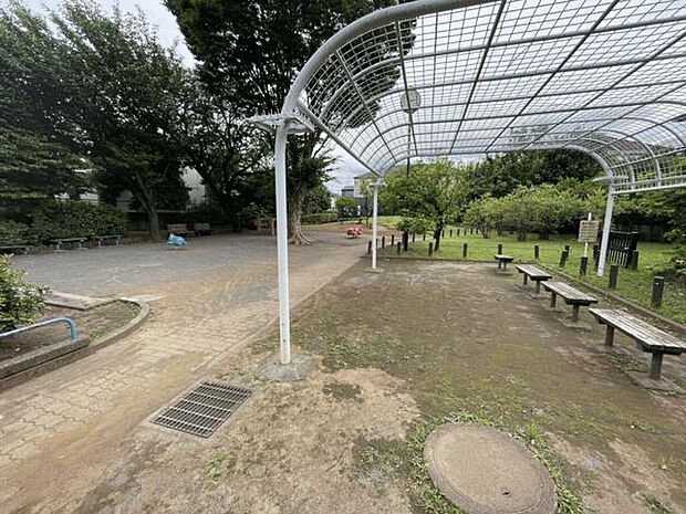 練馬区立梨の花公園(約785m)