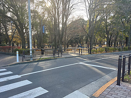 城北中央公園 223m
