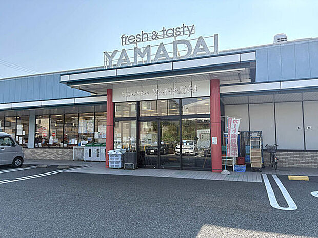 ヤマダイ 瑞穂店（約922m）