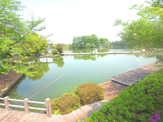 等々力緑地（約600m）