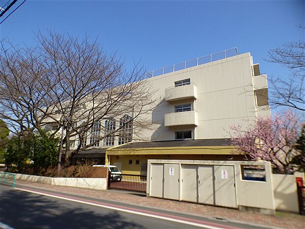 杉並区立宮前中学校（約581m）