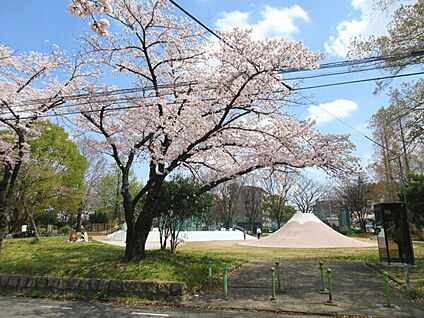 昭和橋公園 588m