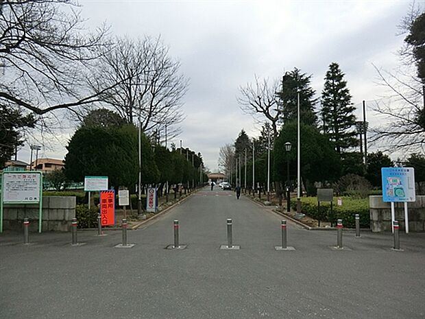 川口市青木町公園（約646m）