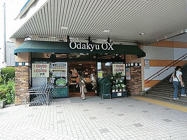 Odakyu OX 長後店（約1,244m）