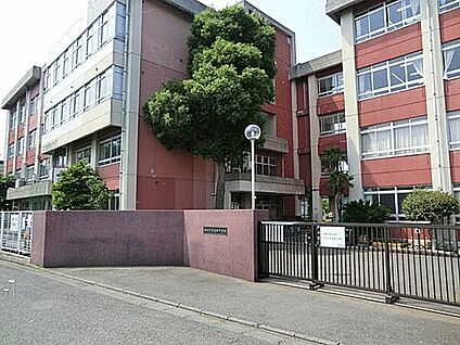 藤沢市立高倉中学校 1267m