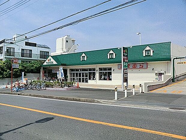 マルエツ矢切駅前店（約445m）