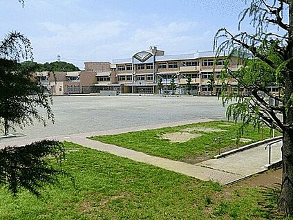 稲城市立平尾小学校 513m