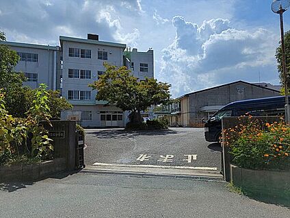 流山市立常盤松中学校 1137m