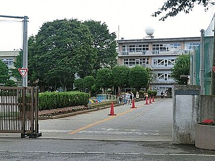 柏市立西原小学校 1172m