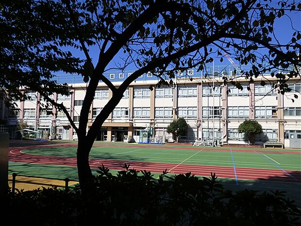 豊島区立豊成小学校(約312m)