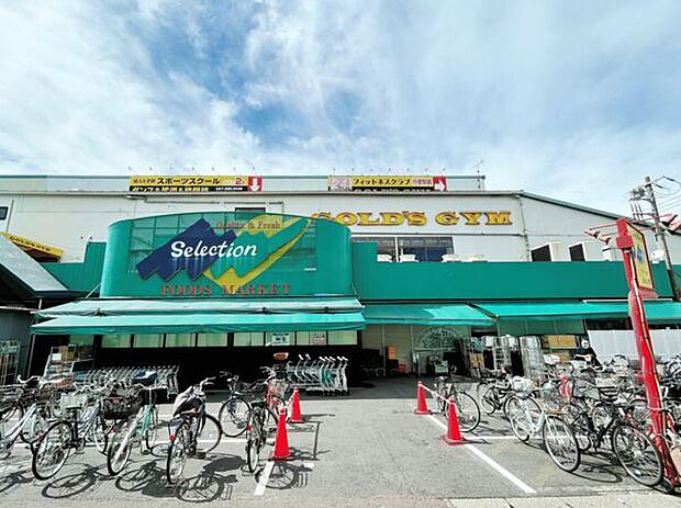 セレクション行徳店（約808m）