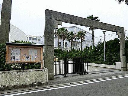 藤沢市立湘洋中学校 981m