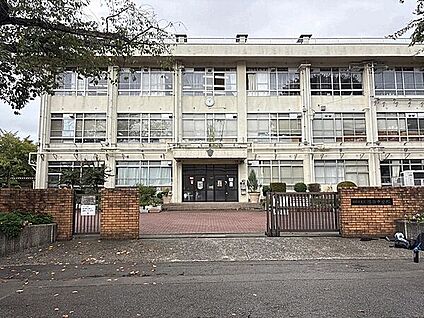 相模原市立清新中学校 1134m