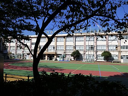 豊島区立豊成小学校 216m