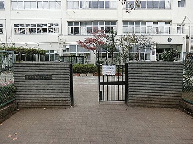 横浜市立瀬谷小学校(約648m)