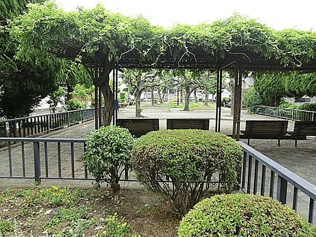 しいの木公園（約102m）
