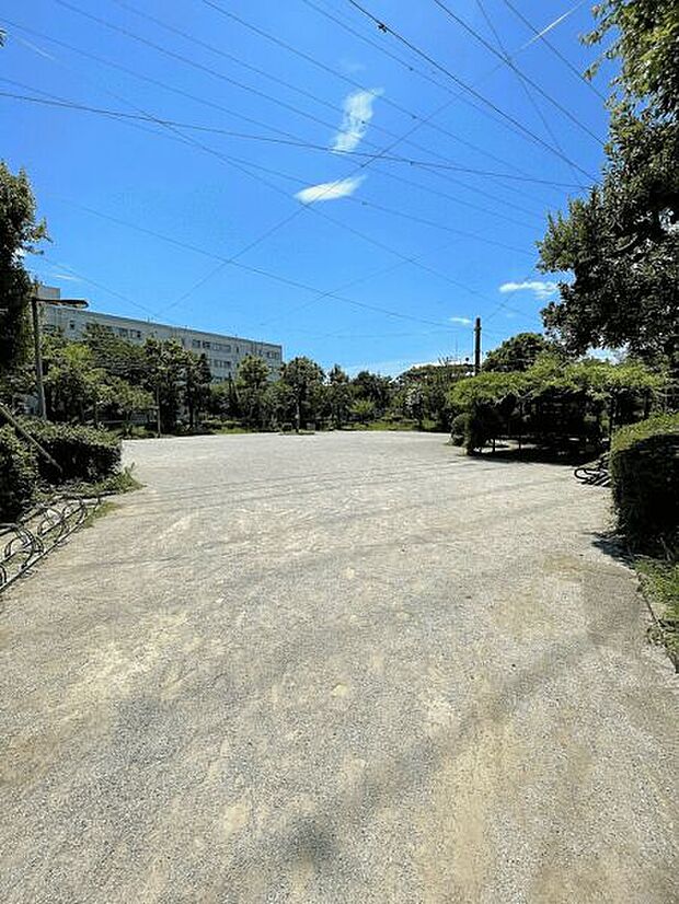 木の公園（約679m）