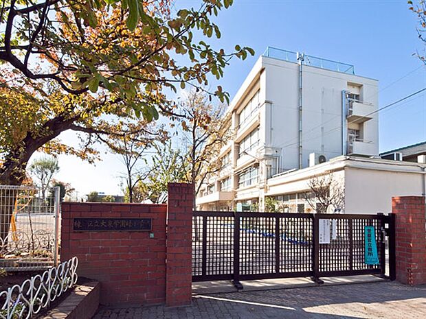 練馬区立大泉学園緑小学校(約1,020m)