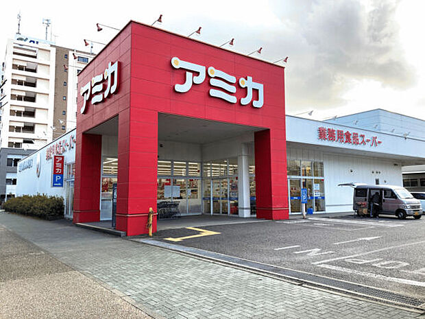 アミカ堀田通店(約453m)