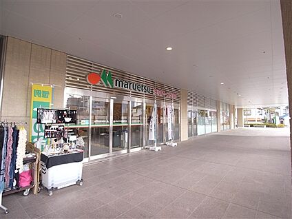 マルエツ長津田駅前店 519m