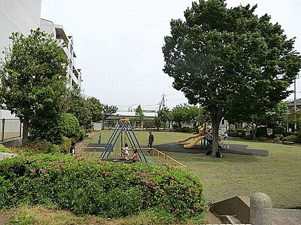 長津田公園(約407m)
