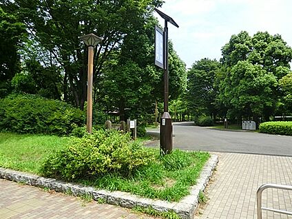木場公園 1099m