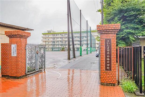 さいたま市立白幡中学校(約556m)