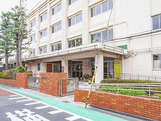 江戸川区立小岩第一中学校(約608m)