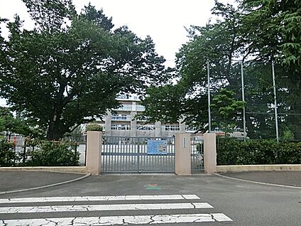杉並区立馬橋小学校 827m