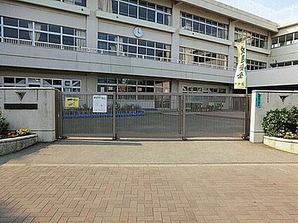 調布市立柏野小学校 325m