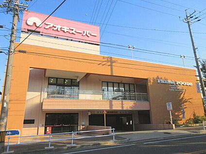 アオキスーパー名東よもぎ台店 600m