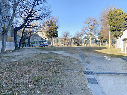 宮町公園 445m