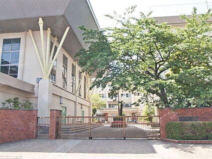 葛飾区立葛美中学校 238m