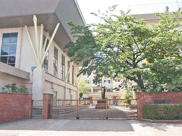 葛飾区立葛美中学校(約238m)