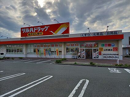 ツルハドラッグ山形嶋店 820ｍ(徒歩11分)