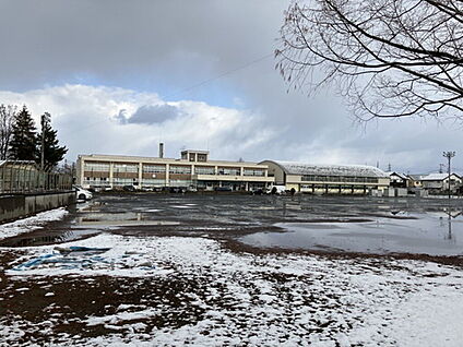 青森市立大野小学校 800m