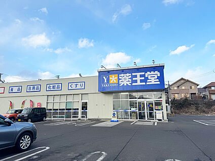 薬王堂仙台泉紫山店 970m