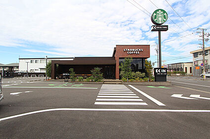 スターバックスコーヒー 800m(徒歩10分)